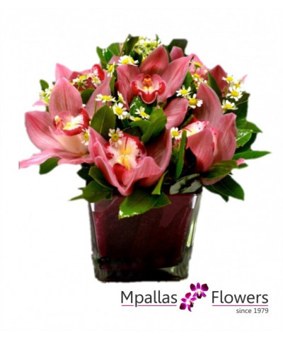 Σύνθεση Orchid Pink