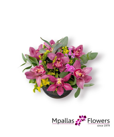 Orchid Elegance